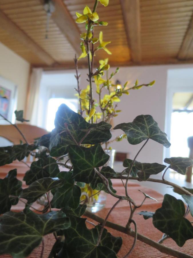 Appartement Alpaka-Ferien à Wiechs am Randen Extérieur photo